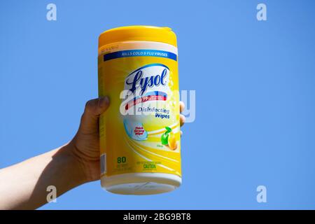 Hand hält einen gelben Behälter mit Zitrusduft Lysol Desinfektionsmittel Wischtücher. Lysol-Tücher sind seit der Coronavirus-Pandemie selten. Stockfoto