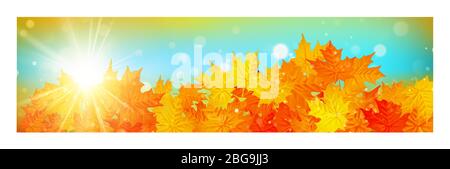 Herbstbanner mit bunten Blättern auf goldenem Bokeh-Effekt. EPS 10 Stock Vektor