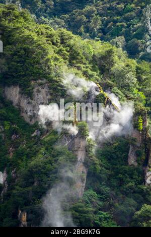 Cathedral Rock, Frying Pan Lake, Waimangu Volcanic Valley, Rotorua, North Island, Neuseeland Stockfoto