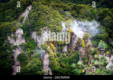 Cathedral Rock, Frying Pan Lake, Waimangu Volcanic Valley, Rotorua, North Island, Neuseeland Stockfoto