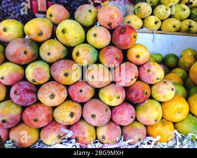 Verkauf saftig frisch indische Mango Nahaufnahme. Großhandelsmarkt. Rotes und gelbes Mango in einer Schachtel. Verkauf von Feldfrüchten auf dem Markt. Natürlich, gesund, vitaminreich Stockfoto