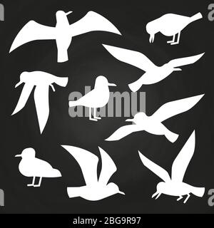 Weiße Vögel-Silhouetten auf Kreidetafel - fliegende Möwen-Silhouetten. Vektorgrafik Stock Vektor
