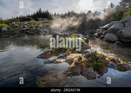 Heißes Wasser aus dem Otumuheke Stream, der in den Waikato River im Spa Thermal Park, Taupo, North Island, Neuseeland fließt Stockfoto