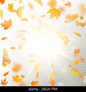 Effekt der Herbst fallenden Blätter Schicht mit flachen DOF Unschärfe. Herbstliche Laub Herbst Vorlage. Warme Farbe. EPS 10 Stock Vektor