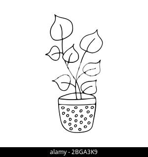 Topfpflanze, Blume mit großen Blättern Doodle. Einfacher Vektor für Schwarz-Weiß-Illustrationen Stock Vektor