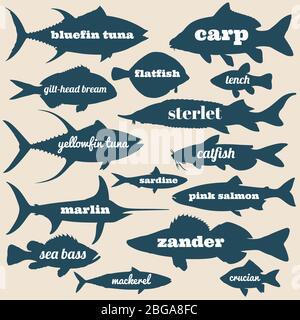Ocean Fisch Vektor Silhouetten mit Namen isoliert auf weißem Hintergrund. Illustration von Meer- und Flussfischen Stock Vektor