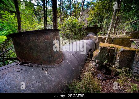 Reliquien der Goldbergbauvergangenheit auf dem Karangahake Windows Walk, Waikino, Nordinsel Neuseeland Stockfoto