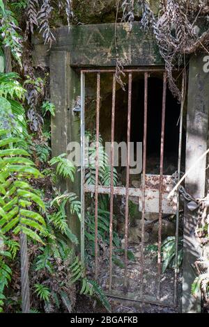 Reliquien der Goldbergbauvergangenheit auf dem Karangahake Windows Walk, Waikino, Nordinsel Neuseeland Stockfoto