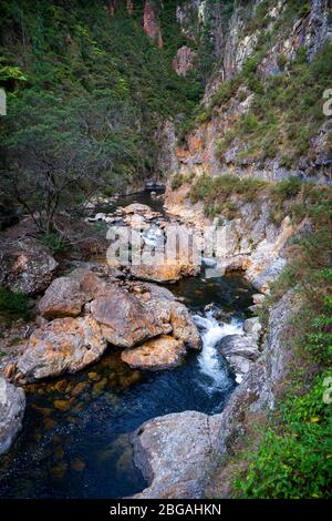Blick auf die Karangahake Gorge vom Karangahake Windows Walk, Waikino, Nordinsel Neuseeland Stockfoto