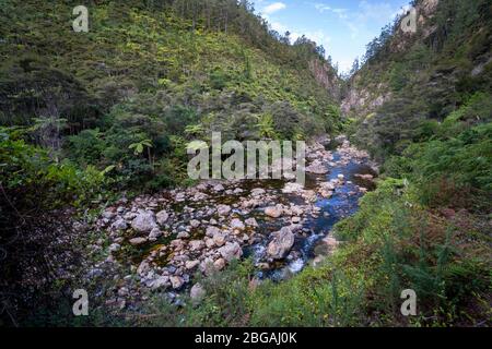 Blick auf die Karangahake Gorge vom Karangahake Windows Walk, Waikino, Nordinsel Neuseeland Stockfoto