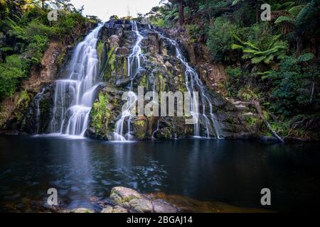 Owharoa Falls, Karangahake Gorge / Waihi / Kaimai Mamaku Conservation Park, North Island, Neuseeland Stockfoto