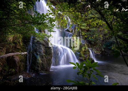 Owharoa Falls, Karangahake Gorge / Waihi / Kaimai Mamaku Conservation Park, North Island, Neuseeland Stockfoto