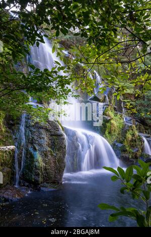 Owharoa Falls, Karangahake Gorge / Waihi / Kaimai Mamaku Conservation Park, North Island, Neuseeland Stockfoto