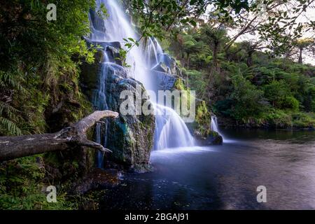 Owharoa Falls, Karangahake Gorge / Waihi / Kaimai Mamaku Conservation Park, North Island, Neuseeland Stockfoto