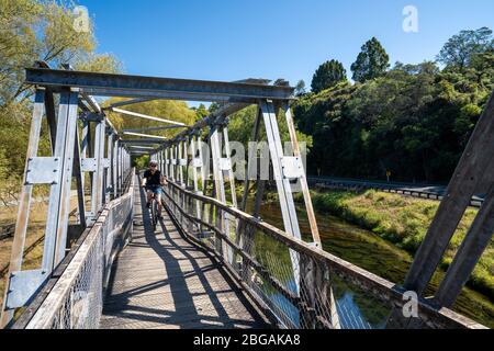 Brücke über den Ohinemuri River auf dem Hauraki Rail Trail, Nordinsel, Neuseeland Stockfoto