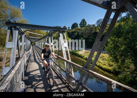 Brücke über den Ohinemuri River auf dem Hauraki Rail Trail, Nordinsel, Neuseeland Stockfoto