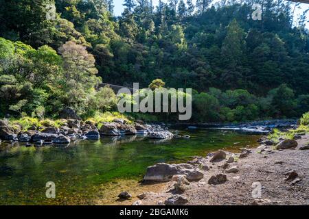 Ohinemuri River, Hauraki Rail Trail, North Island, Neuseeland Stockfoto