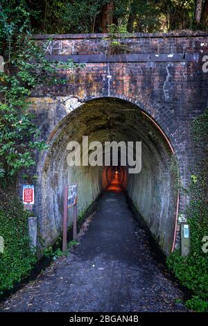 Karangahoke Rail Tunnel auf dem Hauraki Rail Trail, North Island, Neuseeland Stockfoto