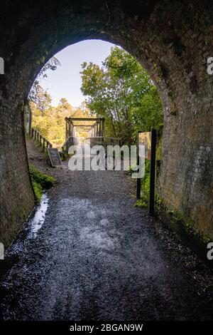 Karangahoke Rail Tunnel auf dem Hauraki Rail Trail, North Island, Neuseeland Stockfoto