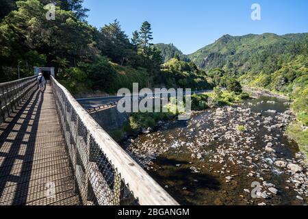 Brücke über den Ohinemuri River in der Nähe des Eingangs zum Karangahoke Rail Tunnel auf dem Hauraki Rail Trail, North Island, Neuseeland Stockfoto