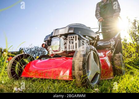 Rasenmäher auf einer sonnigen Wiese Stockfoto