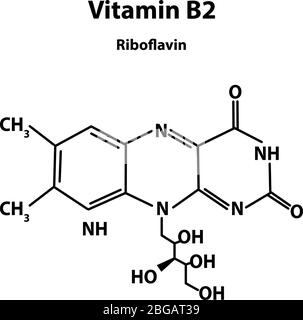 Vitamin B2. Riboflavin Molekulare chemische Formel. Infografiken. Vektorgrafik auf isoliertem Hintergrund. Stock Vektor