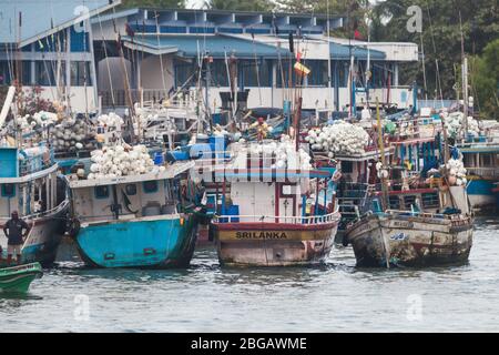 Negombo, Sri Lanka. 20. Juli 2016: Boote fischen im berühmten Hafen von Negombo, Städte in der Nähe von Colombo, Hauptstadt von Sri Lanka. Stockfoto