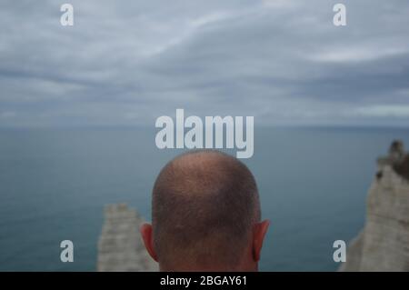 Der Rücken eines Glatzmännchen Stockfoto