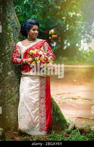 Kandy, Sri Lanka. 24. Juli 2016: Eine indische Braut in einem Park in der Nähe eines Baumes in Kandy in Sri Lanka. Sie trägt Saree typischen indischen Brautkleid Frauen. Mit Stockfoto