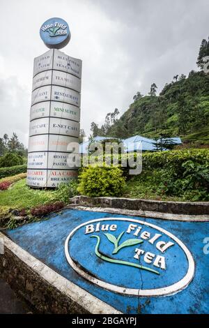 Nuwara Eliya, Sri Lanka. 25. Juli 2016: Teefabrik in der Nähe von Nuwara Eliya in Sri Lanka. Teebauung. Teeindustrie Plantage. Blue Field Tee in Sri La Stockfoto