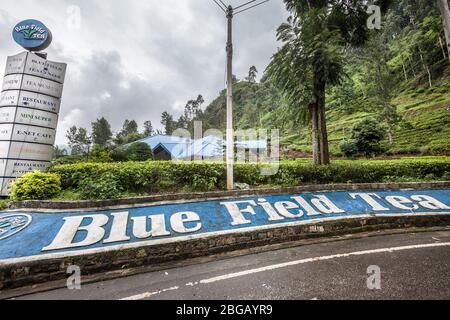 Nuwara Eliya, Sri Lanka. 25. Juli 2016: Teefabrik in der Nähe von Nuwara Eliya in Sri Lanka. Teebauung. Teeindustrie Plantage. Blue Field Tee in Sri La Stockfoto