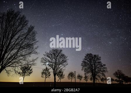 Petersdorf, Deutschland. April 2020. Der Sternenhimmel scheint in der Nacht über einer Allee. Meist sternenklare Himmel ermöglichen einen ungehinderten Blick auf die Sternschnuppen der Lyrides in der kommenden Nacht. Die Erde kreuzt den Schweif eines Kometen. Dies wurde 1861 im Sonnensystem entdeckt. Jedes Jahr um den 21., 22., 23. April, überquert die Erde den Rest des Kometenschweifs. Dabei gelangen Staubpartikel in die Erdatmosphäre. Diese Partikel brennen auf den Aufprall und Sternschnuppen werden sichtbar. Quelle: Patrick Pleul/dpa-Zentralbild/dpa/Alamy Live News Stockfoto