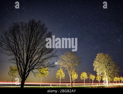 Petersdorf, Deutschland. April 2020. Der Sternenhimmel scheint in der Nacht über einer Allee, die von einem vorbeifahrenden Auto beleuchtet wird. Meist sternenklare Himmel ermöglichen einen ungehinderten Blick auf die Sternschnuppen der Lyrides in der kommenden Nacht. Die Erde kreuzt den Schweif eines Kometen. Dies wurde 1861 im Sonnensystem entdeckt. Jedes Jahr um den 21., 22., 23. April, überquert die Erde den Rest des Kometenschweifs. Dabei gelangen Staubpartikel in die Erdatmosphäre. Diese Partikel brennen auf den Aufprall und Sternschnuppen werden sichtbar. Quelle: Patrick Pleul/dpa-Zentralbild/dpa/Alamy Live News Stockfoto