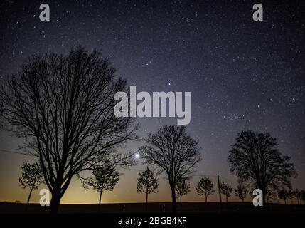 Petersdorf, Deutschland. April 2020. Der Sternenhimmel scheint in der Nacht über einer Allee. Meist sternenklare Himmel ermöglichen einen ungehinderten Blick auf die Sternschnuppen der Lyrides in der kommenden Nacht. Die Erde kreuzt den Schweif eines Kometen. Dies wurde 1861 im Sonnensystem entdeckt. Jedes Jahr um den 21., 22., 23. April, überquert die Erde den Rest des Kometenschweifs. Dabei gelangen Staubpartikel in die Erdatmosphäre. Diese Partikel brennen auf den Aufprall und Sternschnuppen werden sichtbar. Quelle: Patrick Pleul/dpa-Zentralbild/ZB/dpa/Alamy Live News Stockfoto