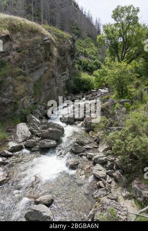 Landschaft mit Roaring Meg Creeck strömendes Wasser in grüner Landschaft, aufgenommen in hell bewölktem Frühlingslicht bei Kawarau River Gorge, Otago, South Island, Stockfoto