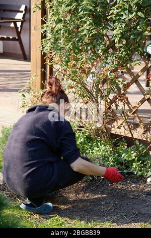 Spring Gardening - Anordnung Blumenbeete Stockfoto