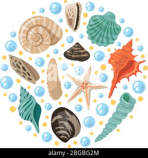 Verschiedene tropische Muscheln in Kreisform. Vektor aquatische Konzept Illustrationen Stock Vektor