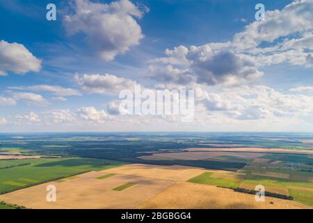 Ländliche Landschaft mit einem schönen Himmel. Luftaufnahme. Blick auf gepflügte und grüne Felder und Pinienwald im Frühjahr Stockfoto