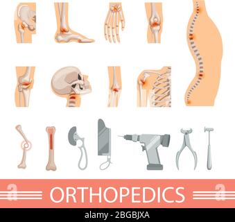 Orthopädische Symbole gesetzt. Menschliches Skelett, Knochen und verschiedene medizinische Accessoires Stock Vektor