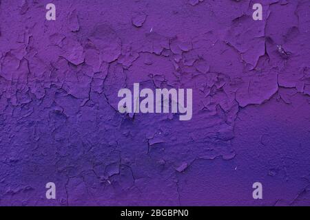 Die Textur der alten gemalten Wand ist mit Rissen und Rauheit Nahaufnahme bedeckt. Stock Foto von alter Farbe mit Rissen. Violett-blaue Farbverläufe. Stockfoto