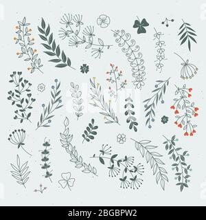 Dekorative florale Elemente für Designprojekte. Rustikale Zweige und Blätter handgezeichnete Illustration Stock Vektor