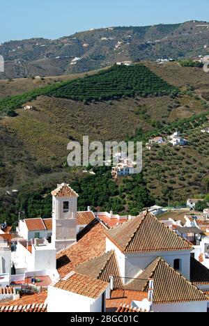 Blick auf das weiß getünchte Dorf (Pueblo Blanco), Frigiliana, Costa del Sol, Provinz Malaga, Andalusien, Spanien. Stockfoto