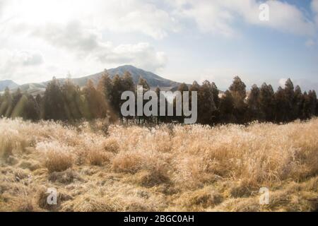 Mount Aso und Kusasenri im Winter. Bedeckt von goldgelbem Grasland - Kumamoto, Japan Stockfoto