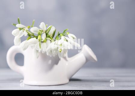 Schönes Bouquet von Schneeglöckchen in Gießkanne auf hellem Hintergrund Stockfoto