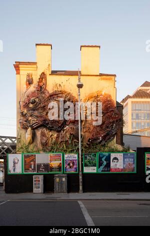 Dublin rotes Eichhörnchen Wandbild seit entfernt Stockfoto