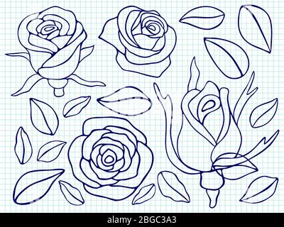 Kugelschreiber Zeichnung Rosen und Blätter auf Notizbuch-Seite. Vektorgrafik Stock Vektor