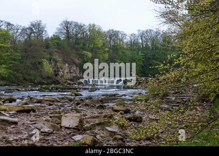 Richmond Falls on the River Swale von den Batts, Richmond, North Yorkshire, England, Großbritannien Stockfoto