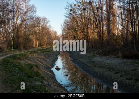 Kanal der Kleinen Donau in einem kleinen Tal, gesäumt von einem Wald mit frühen Frühlingsbäumen. Blauer Morgenhimmel. Malinovo, Slowakei. Stockfoto