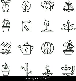 Pflanzen-, Pflanzen- und Saatlinien-Vektorsymbole. Sprout wachsende Symbole. Illustration von Pflanze und Sprossen, Wachstumsbaum Stock Vektor