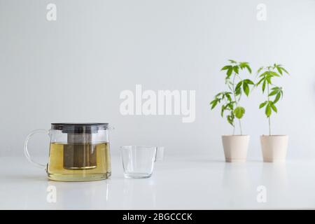 Weißer Tisch mit Marihuana-Pflanze in Keramik. Heißer CBD-Tee und Teekanne. Stockfoto